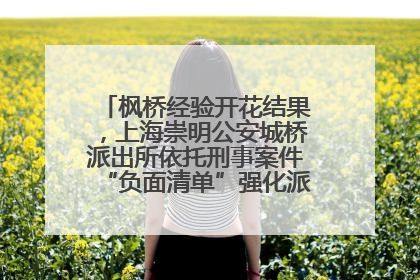 枫桥经验开花结果，上海崇明公安城桥派出所依托刑事案件“负面清单”强化派出所“主防”