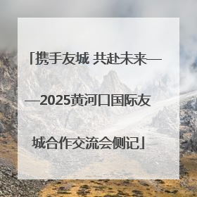 携手友城 共赴未来——2025黄河口国际友城合作交流会侧记