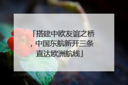 搭建中欧友谊之桥，中国东航新开三条直达欧洲航线