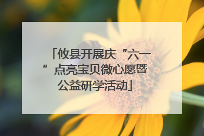 攸县开展庆“六一”点亮宝贝微心愿暨公益研学活动