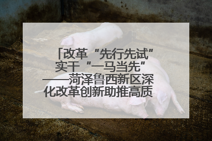 改革“先行先试” 实干“一马当先”——菏泽鲁西新区深化改革创新助推高质量发展纪实