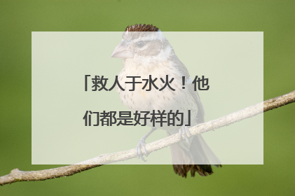 救人于水火！他们都是好样的