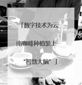 数字技术为云南咖啡种植装上“智慧大脑”