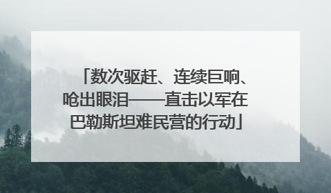 数次驱赶、连续巨响、呛出眼泪——直击以军在巴勒斯坦难民营的行动