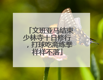 文班亚马结束少林寺十日修行，打球吃斋练拳样样不落