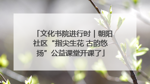 文化书院进行时｜朝阳社区“指尖生花 古韵悠扬”公益课堂开课了