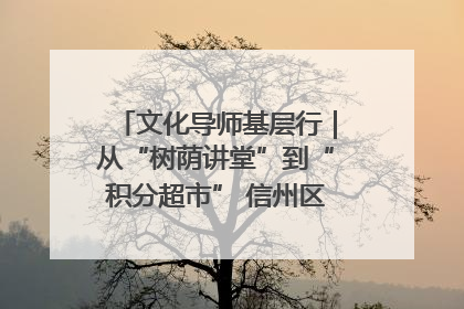 文化导师基层行｜从“树荫讲堂”到“积分超市” 信州区基层治理有实招