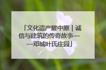 文化遗产耀中原｜诚信与建筑的传奇故事——邓城叶氏庄园