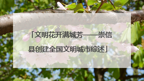 文明花开满城芳——崇信县创建全国文明城市综述