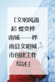 文明风涌起 蝶变桦南城——桦南县文明城市创建工作综述
