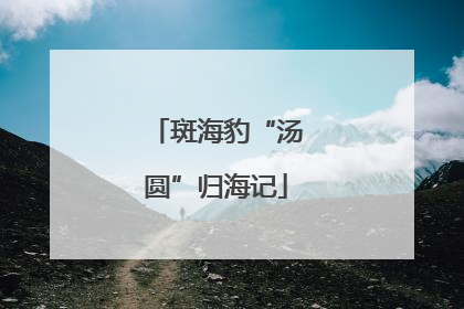 斑海豹“汤圆”归海记