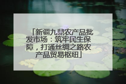 新疆九鼎农产品批发市场：筑牢民生保障，打通丝绸之路农产品贸易枢纽