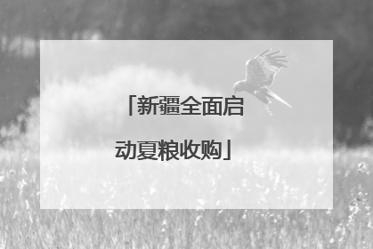 新疆全面启动夏粮收购