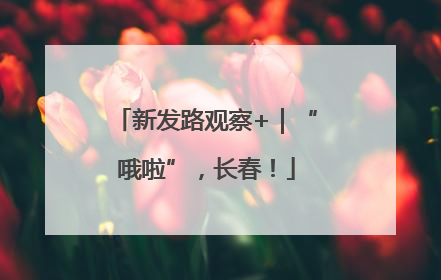 新发路观察+｜“哦啦”，长春！