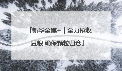 新华全媒+｜全力抢收夏粮 确保颗粒归仓