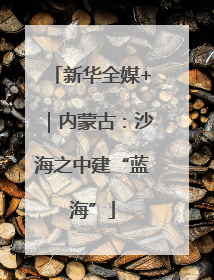 新华全媒+｜内蒙古：沙海之中建“蓝海”
