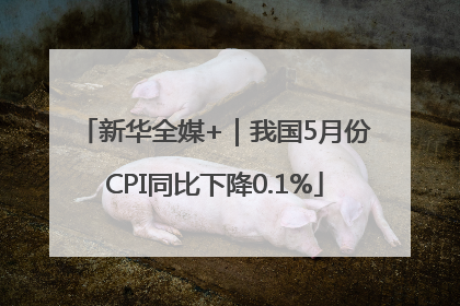 新华全媒+｜我国5月份CPI同比下降0.1%