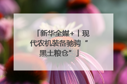 新华全媒+丨现代农机装备驰骋“黑土粮仓”