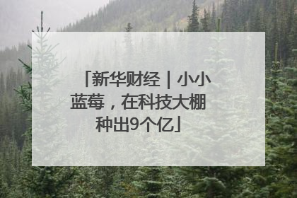 新华财经｜小小蓝莓，在科技大棚种出9个亿