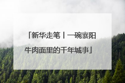 新华走笔丨一碗襄阳牛肉面里的千年城事