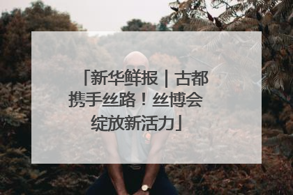 新华鲜报｜古都携手丝路！丝博会绽放新活力