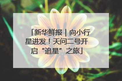 新华鲜报｜向小行星进发！天问二号开启“追星”之旅