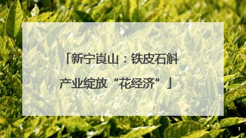 新宁崀山：铁皮石斛产业绽放“花经济”