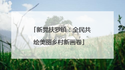 新晃扶罗镇：全民共绘美丽乡村新画卷