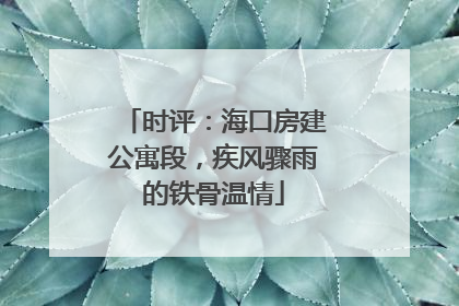 时评：海口房建公寓段，疾风骤雨的铁骨温情