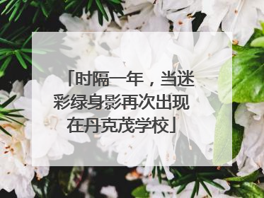 时隔一年，当迷彩绿身影再次出现在丹克茂学校
