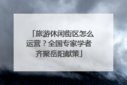 旅游休闲街区怎么运营？全国专家学者齐聚岳阳献策