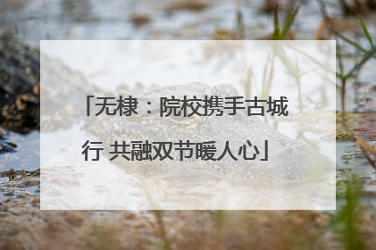 无棣：院校携手古城行 共融双节暖人心
