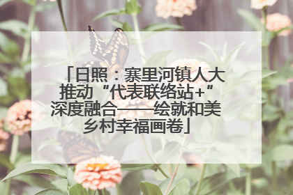 日照：寨里河镇人大推动“代表联络站+”深度融合——绘就和美乡村幸福画卷