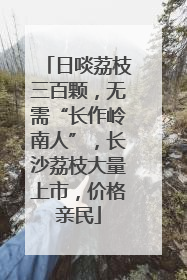 日啖荔枝三百颗，无需“长作岭南人”，长沙荔枝大量上市，价格亲民