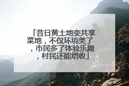 昔日黄土地变共享菜地，不仅环境美了，市民多了体验乐趣，村民还能增收