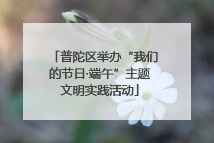普陀区举办“我们的节日·端午”主题文明实践活动