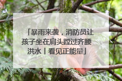 暴雨来袭，消防员让孩子坐在肩头蹚过齐腰洪水丨看见正能量