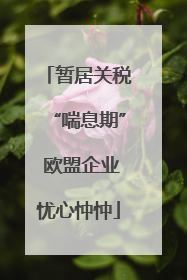 暂居关税“喘息期” 欧盟企业忧心忡忡