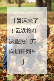 暑运来了！武铁将在这些热门方向加开列车