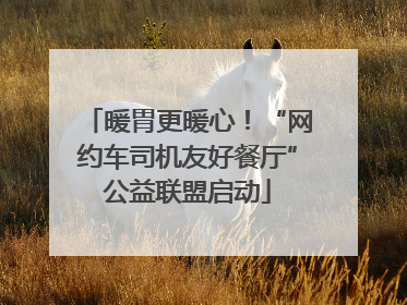 暖胃更暖心！“网约车司机友好餐厅”公益联盟启动