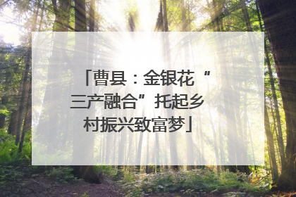 曹县：金银花“三产融合”托起乡村振兴致富梦