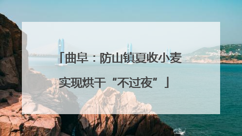 曲阜：防山镇夏收小麦实现烘干“不过夜”