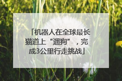 机器人在全球最长猫道上“遛狗”，完成3公里行走挑战