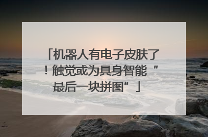 机器人有电子皮肤了！触觉或为具身智能“最后一块拼图”