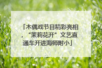 木偶戏节目精彩亮相，“茉莉花开”文艺直通车开进海师附小