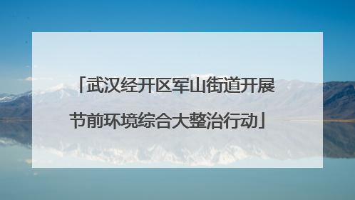 武汉经开区军山街道开展节前环境综合大整治行动