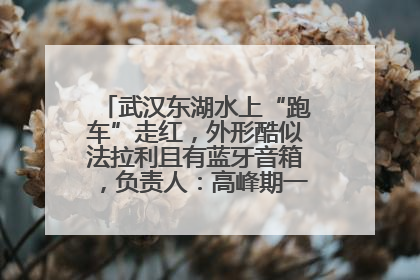 武汉东湖水上“跑车”走红，外形酷似法拉利且有蓝牙音箱，负责人：高峰期一两百人排队