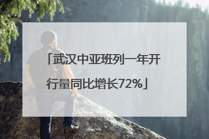 武汉中亚班列一年开行量同比增长72%