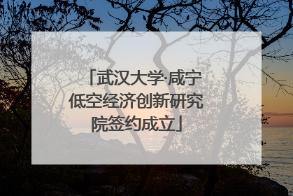 武汉大学·咸宁低空经济创新研究院签约成立