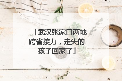 武汉张家口两地跨省接力，走失的孩子回家了
